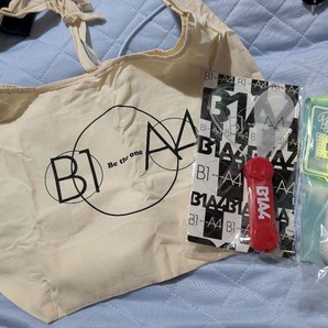 B1A4 トートバッグとペンライトセット