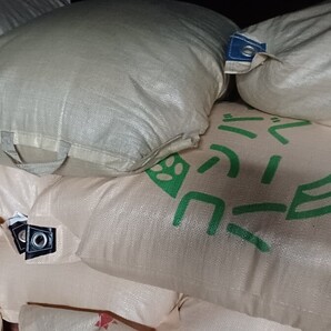 令和7年産コシヒカリ5キロ