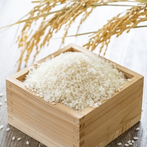 令和7年度秋 産地:岩手県、ひとめぼれ 新米、白米 20Kg(10Kg×2)