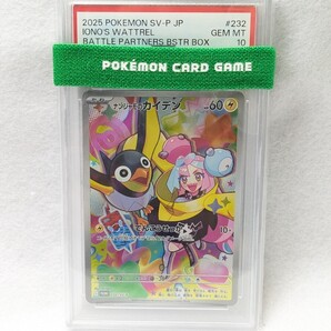 PSA10 /ポケモンカード pokemon card / ナンジャモのカイデン SV-P 232 プロモ PROMO