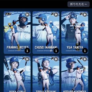 ファイターズトレカ パンのフェス FAVメンバー限定トレカ 全10種 パスワードのみ