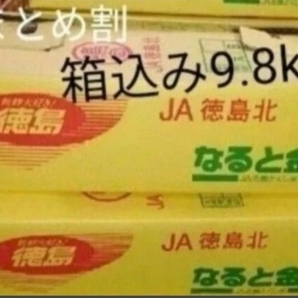 まとめ割 鳴門金時 箱込み9.8キロ