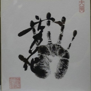 相撲 手形 横綱 若乃花 勝