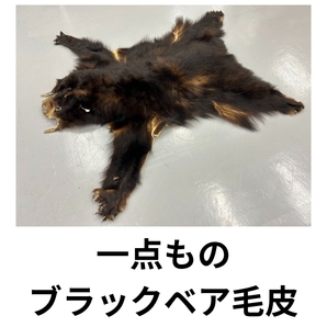 【訳あり】 ブラックベア クマ 毛皮 リアルファー 原皮 一点もの 熊 ベアー 敷物 ラグ 毛皮 爪付き 熊爪 素材 生地 クラフト 材料 送料無料
