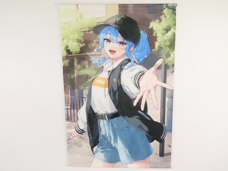 2025年最新】Yahoo!オークション -すいせい(タペストリー)の中古品