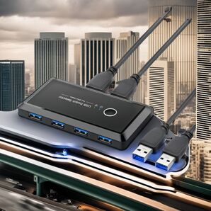 セレクター 4USBポート USB切り替え機 PC2台用 高速転送