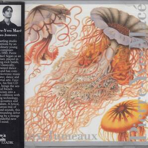 輸 Pierre-Yves Mace Faux-Jumeaux ジョン・ゾーン◆規格番号■TZ-7078◆送料無料■即決●交渉有