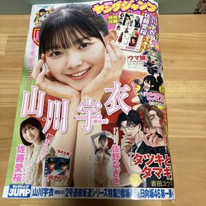 ヤングジャンプ 2025年11月13日号 (集英社) 山川宇衣 集英社 佐藤愛桜 櫻坂46 佐野なぎさ