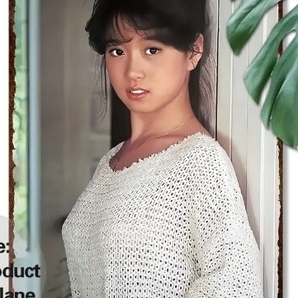 中森明菜 ポスター ブリキ看板 アイドル 歌手 グラビア 昭和レトロ かわいい アイドル 歌姫 メタルサイン 壁掛け スチールポスター 美女