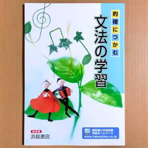 2025年度版「的確につかむ 文法の学習【教師用】」浜島書店 国文法 国語 文法 ワーク