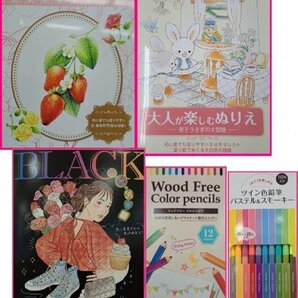 【送料無料 選べる 2点 大人のぬりえ,色鉛筆】★果物 うさぎ ブラック★初心者:心を安定:ストレス解消 認知症予防 脳トレ 塗り絵