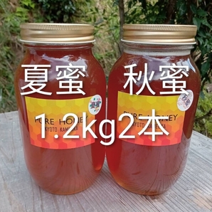 国産 純粋 蜂蜜 はちみつ 1.2kg2本 秋蜜 夏蜜