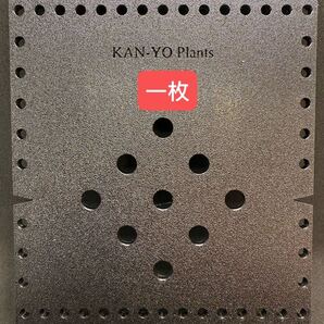 【3Dプリンター製着生板】1枚