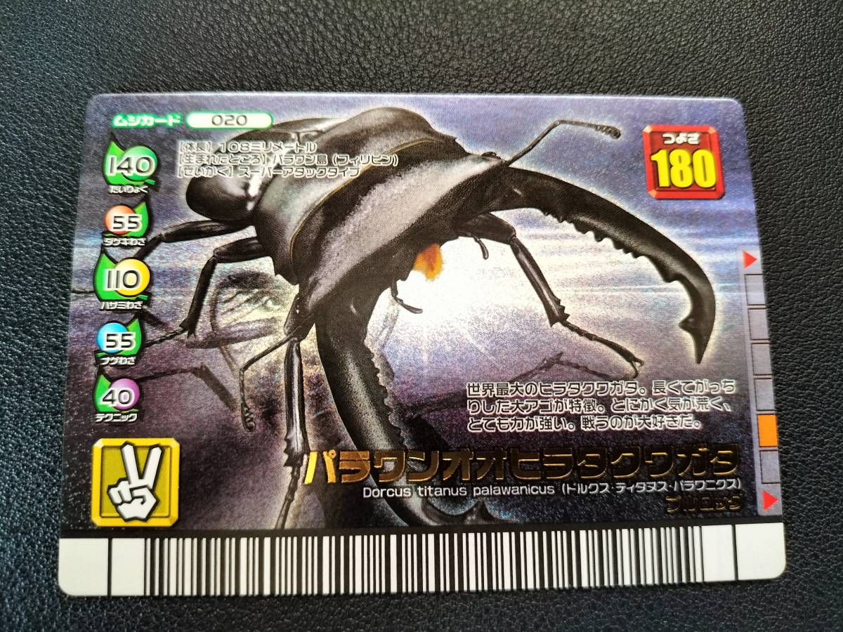 甲虫王者 ムシキング パラワンオオヒラタクワガタ 激レア｜Yahoo