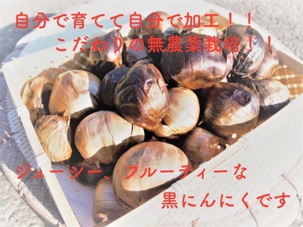 黒にんにく 岩手県産 無農薬 自家栽培自家加工 2kg 即決 送料無料 黒ニンニク にんにく 2