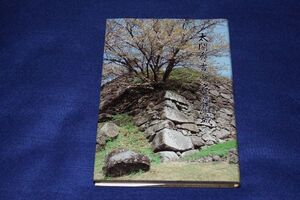 ●● 太閤秀吉と名護屋城 平成5年 鎮西町 DS01P16