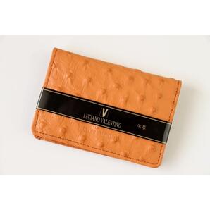 パスケース キャメル オーストリッチ型押し 牛革 天然本革 定期入れ 免許証入れ LUCIANO VALENTINO ルチアーノ バレンチノ