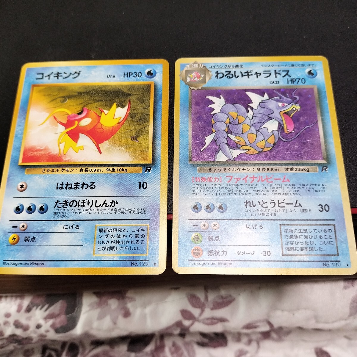 2025年最新】Yahoo!オークション -ポケモンカード コイキング