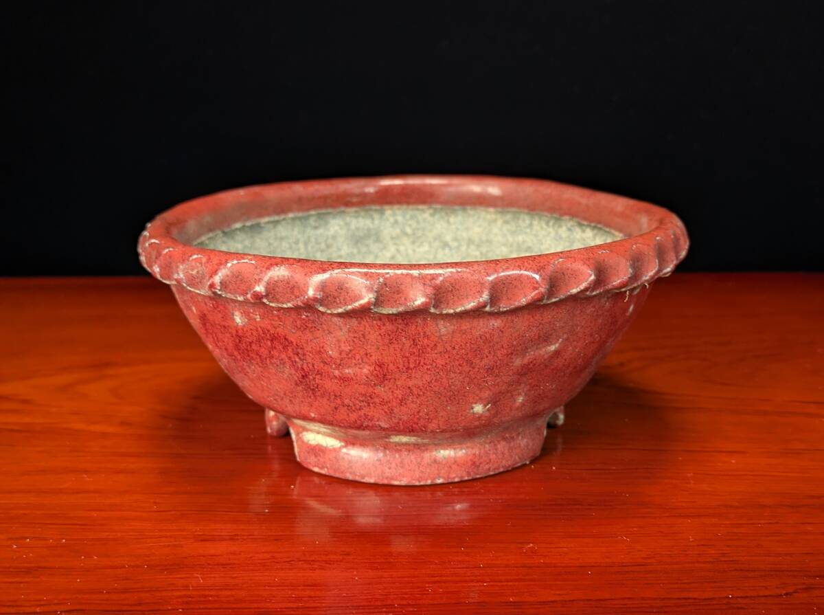 Yahoo!オークション -「盆栽鉢」(盆栽) の落札相場・落札価格