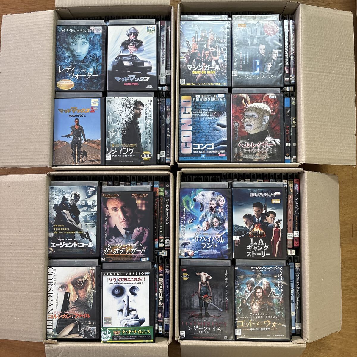 2025年最新】Yahoo!オークション -レンタル落ち dvd まとめの中古品