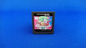 DS ソフト 風来のシレン5 フォーチュンタワーと運命のダイス ソフトのみ 即決!