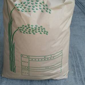 令和7年産ひとめぼれ玄米