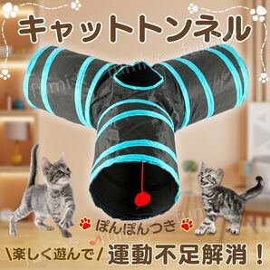 キャットトンネル 猫 トンネル ブルー ハウス ぺットトンネル Y型 折りたたみ ボール ネコ ねこ ペット 3つ口 おもちゃ 玩具