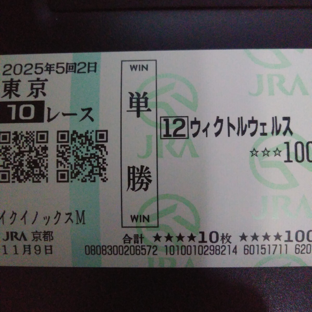 2025年最新】イクイノックス関連の終了したレース馬券を探すならこちら