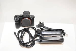 SONY α7Sii ボディ 外部電源ダミーバッテリ セット フルサイズ Eマウント ミラーレス デジタル カメラ ILCE A7SM2 α7sm2 日本語 国内仕様