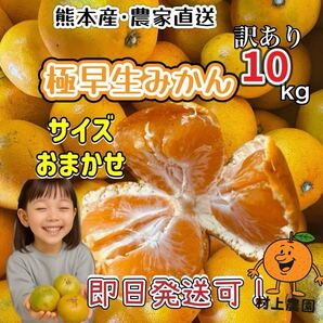 熊本県産 農家直送便!極早生みかん 家庭用10kg⑦