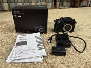 パナソニック Panasonic LUMIX DMC-GH4 ボディ おまけ付き