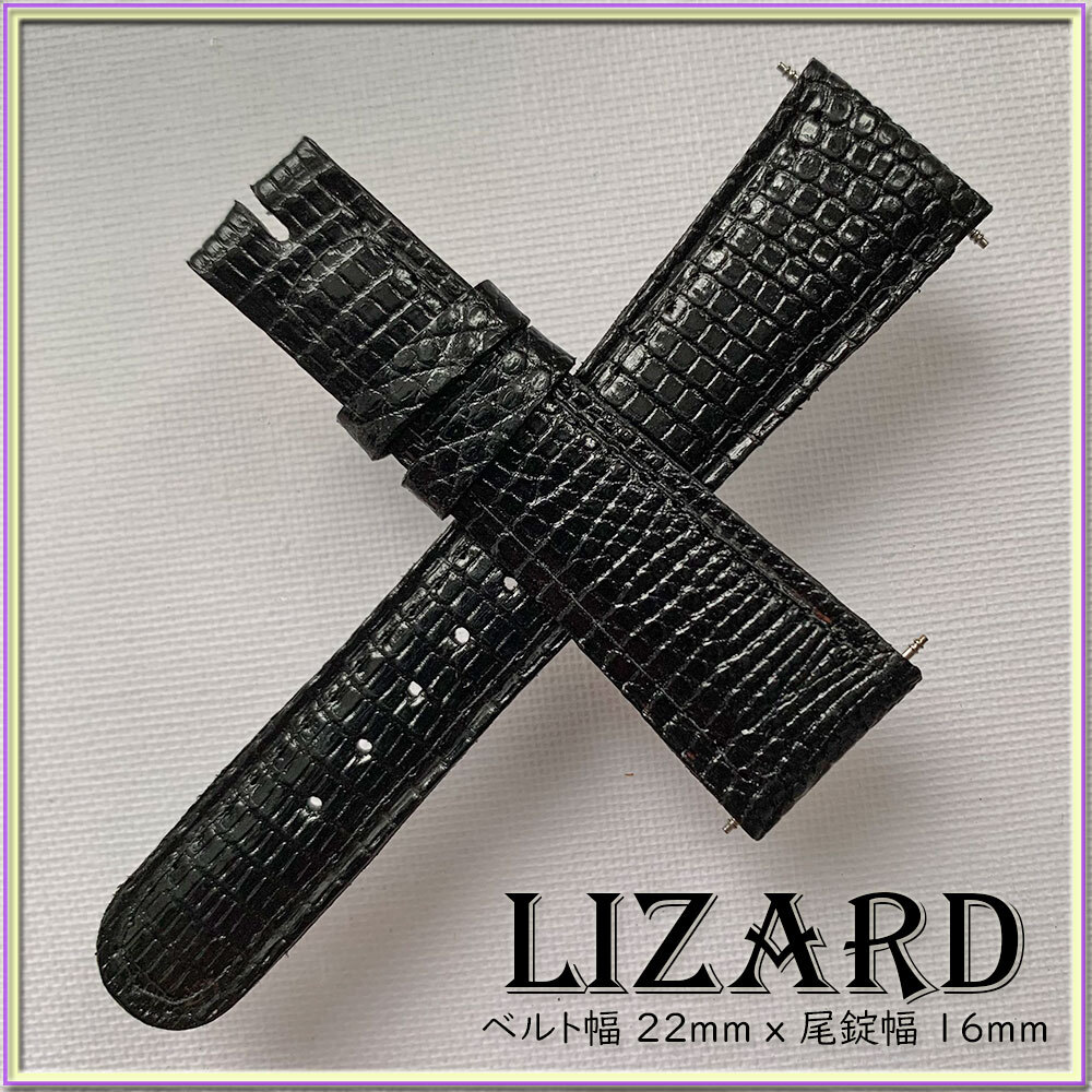 SALE！２２mm リザード 本革 トカゲ革 高級ライン １点物 イタリアンブラ