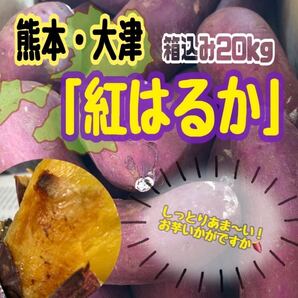 熊本県産大津紅はるか20キロ箱込み ことしも大好評!