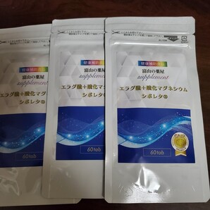 酸化マグネシウムエラグ酸3袋賞味期限2028-04以降