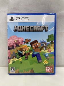 PS5 ソフト Minecraft 3916-A-6-1