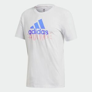 新品 adidas アディダス ドゥードゥル ベーシック バッジ オブ スポーツ 半袖Tシャツ Mサイズ 夏用 ビッグロゴ 文字 トレーニングウェア