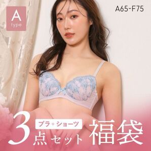 新品未使用 口コミ高評価 SHIROHATO 白鳩 C70 ブラ&ショーツ上下 3着セット 下着