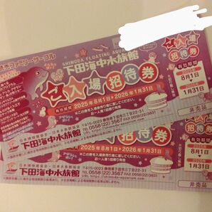 下田海中水族館 入場招待券 2枚セット 2026年1月31日まで