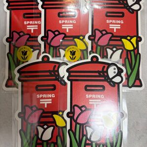 ポスト型はがき spring チューリップ