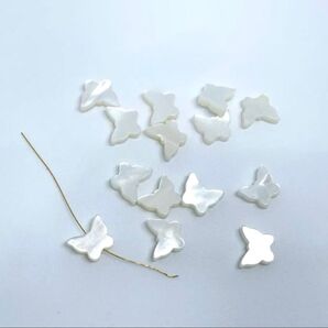 シェル 蝶 1ペア(2個)