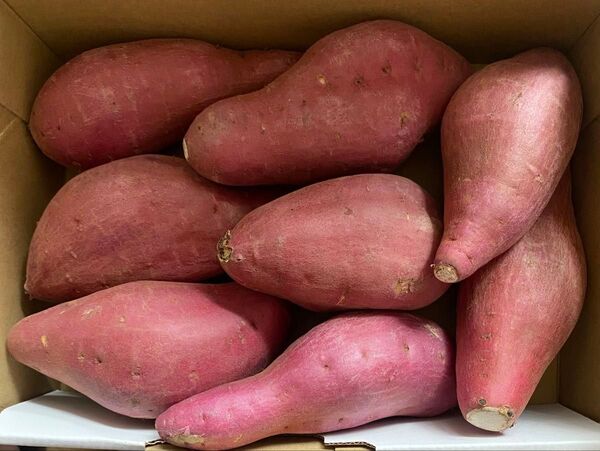 6 特売♪さつまいも 徳島県産 金時 1. 4kg