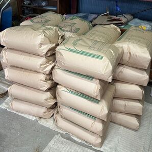 令和7年産 丹波産 キヌヒカリ 玄米 20キロ 新米