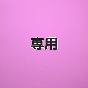 専用2