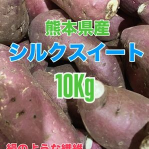 熊本こだわりのシルクスイート10キロ優品甘いよ!