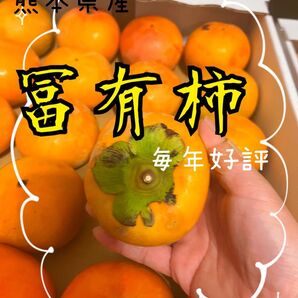 熊本産◎極早生みかん サイズ混合 10kg(送料無料)