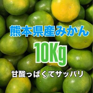 熊本産◎極早生みかん サイズ混合 10kg(送料無料)
