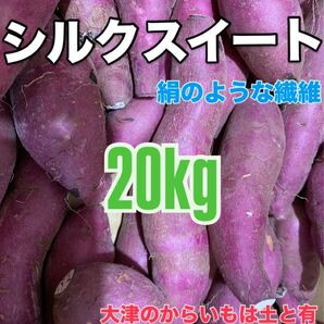 熊本こだわりのシルクスイート20キロ優品甘いよ!