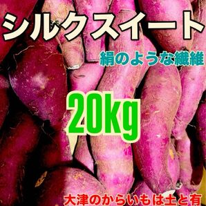熊本こだわりのシルクスイート20キロ優品甘いよ!