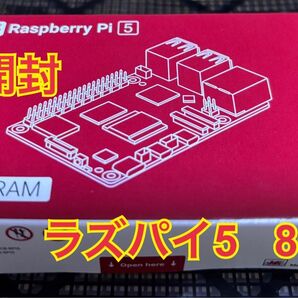 Raspberry Pi 5 ラズパイ5 8GB RAM 未開封