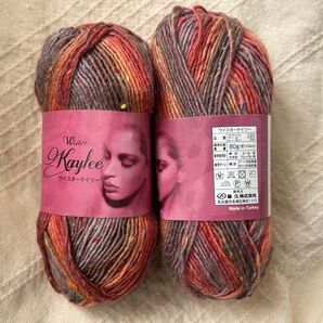 ウイスターケイリー 毛糸 アクリル レーヨン 80g 約144m 2個セット